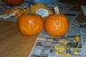 Kid's Pumpkins