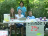 Lemonade Stand