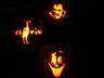 Pumpkins 2010